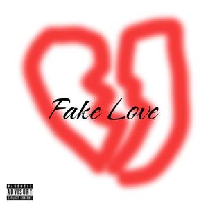 Fake Love (feat. Cello Syngs) [Explicit]