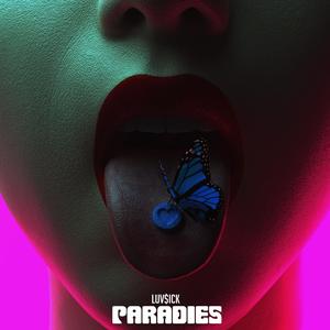 Paradies (Explicit)