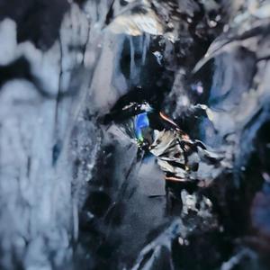 WHO R U(feat. Kerb) (Explicit)