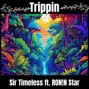 Trippin (feat. RON!N Star) [Explicit]