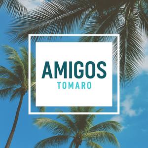 Amigos (Radio Edit)