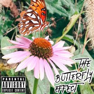 The Butterfly Effect (Explicit)