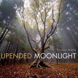 Upended Moonlight