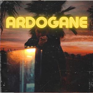 Ardogane