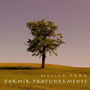 Música Instrumental para Meditación Guiada