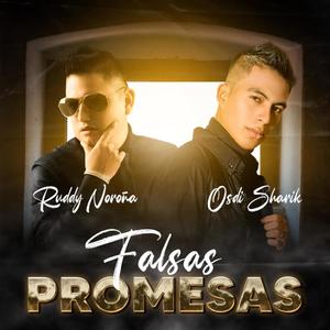 Falsas Promesas (feat. Ruddy Noroña) (Remix)