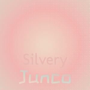 Silvery Junco
