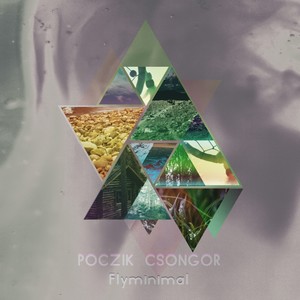 Flyminimal