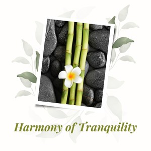 Blissful Harmony