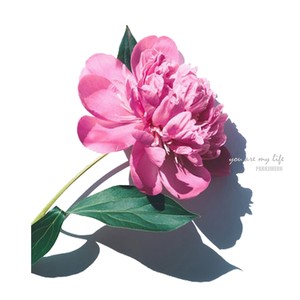 You Are My life (Inst.)