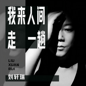 我来人间走一趟