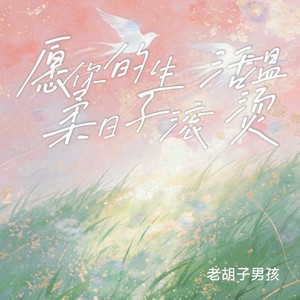 愿你的生活温柔日子滚烫