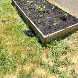 Blind shot (feat. Whokilledtene) (Explicit)