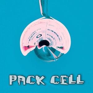 pack cell