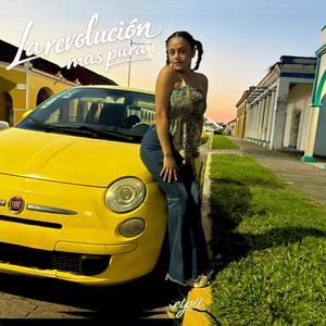 La revolución más pura