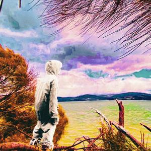 WANNA SEE ME FALL! (Explicit)