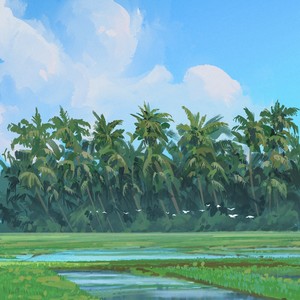 Rice Fields