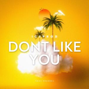 I Dont Like You (feat. luhvel & trizzy) (Explicit)