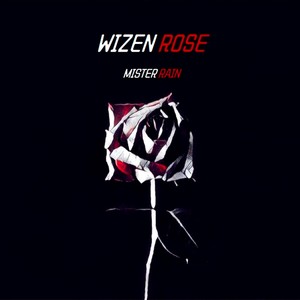 凋谢的玫瑰 Wizen Rose