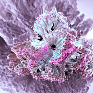 Memory (Extended Mix)