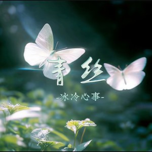 青丝 (创业进行曲DJ版)封面