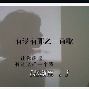 有没有那么一首歌