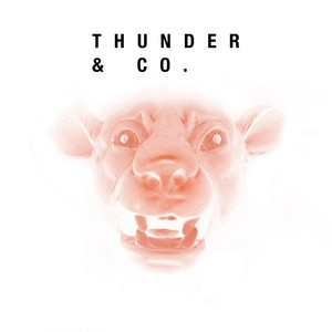 Thunder & Co.