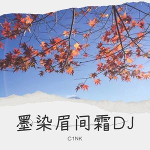 青衫醉星河DJ