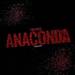 Anaconda