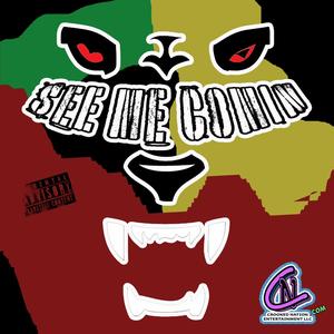 See Me Comin (Explicit)