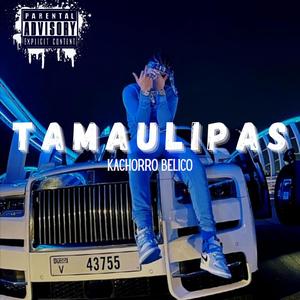 TAMAULIPAS (Explicit)