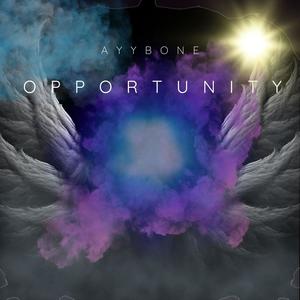 OPPORTUNITY