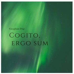 Cogito ergo Sum我思故我在