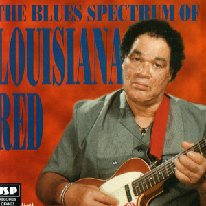 Louisiana Red - The Best Place