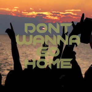 Don't Wanna Go Home (Explicit)