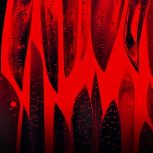 Vsichko Koeto Iskash