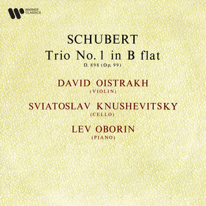 Schubert: Piano Trio No. 1 in B-Flat Major, Op. 99, D. 898 - I. Allegro moderato