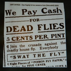 We Pay Cash For Dead Flies (Live) [Explicit]