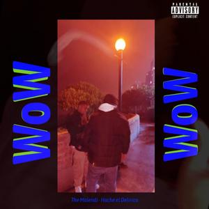 Wow (feat. Hache el Delirico) [Explicit]