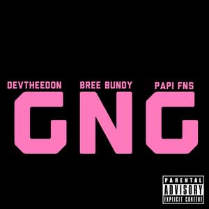 GNG (feat. Bree Bundy & Papi FNS) (Explicit)