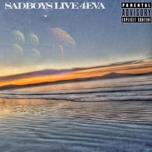Smoke And Mirrors (feat. Indigomerkaba) (Explicit)