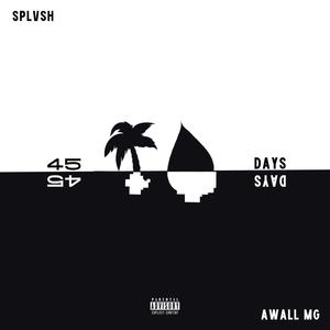 45 days (feat. Awall Mg) [Explicit]