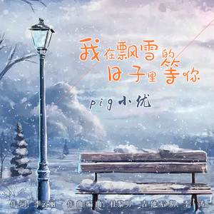 我在飘雪的日子里等你