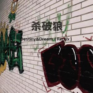杀破狼 (Destiny&Deram Remix)