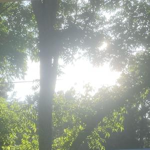 all i need. (Explicit)