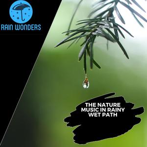 The Nature Music in Rainy Wet Path