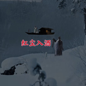 红尘入酒 (DJ版) - 口水娃封面