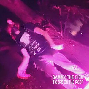 tigers on the roof (Explicit)