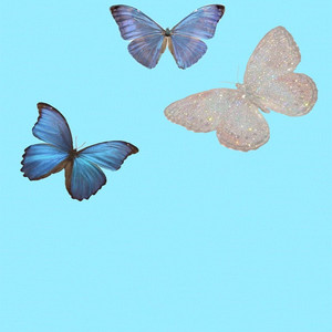 “我感觉全世界都在和我作对”