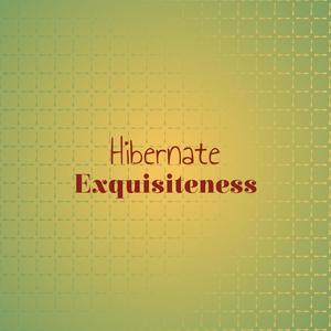 Hibernate Exquisiteness